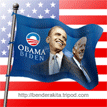 obama_flag_ak.gif